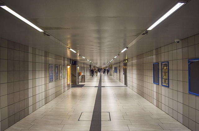 People connecting over CineBloom - Cinematic Journey, symbolizing CineBloom's core principles